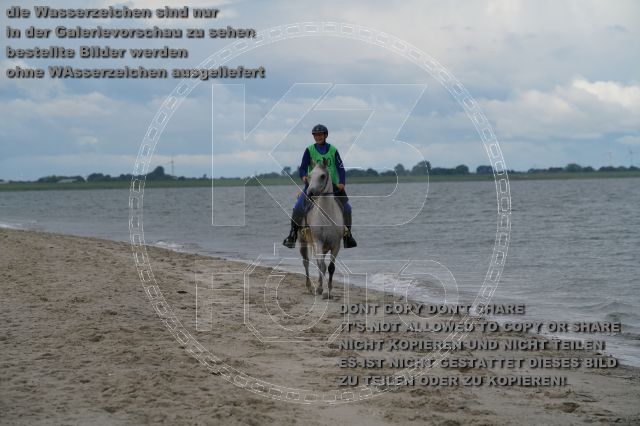 s_K3F04930.JPG